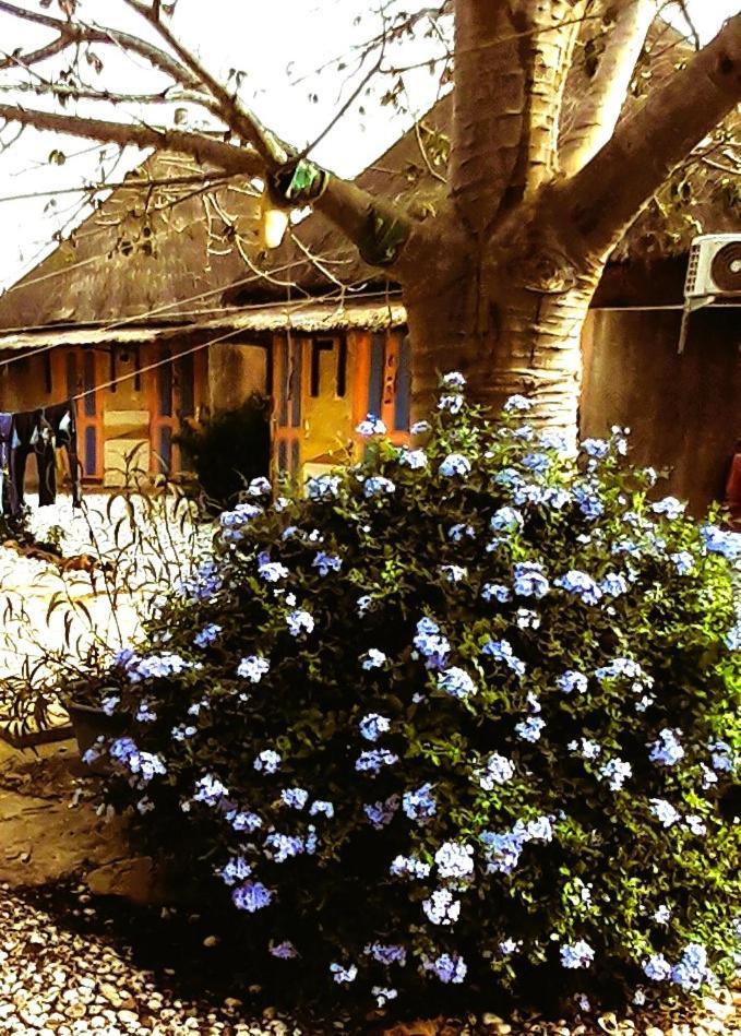 Hotel Le Chamama Niaga Exterior foto